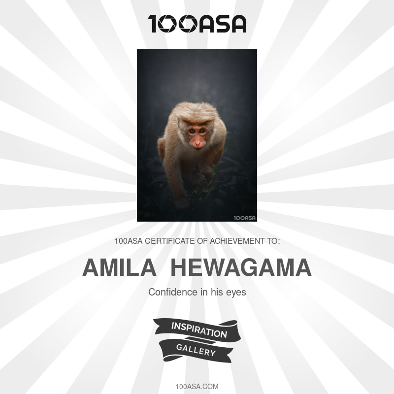 Published Inspiration Gallery