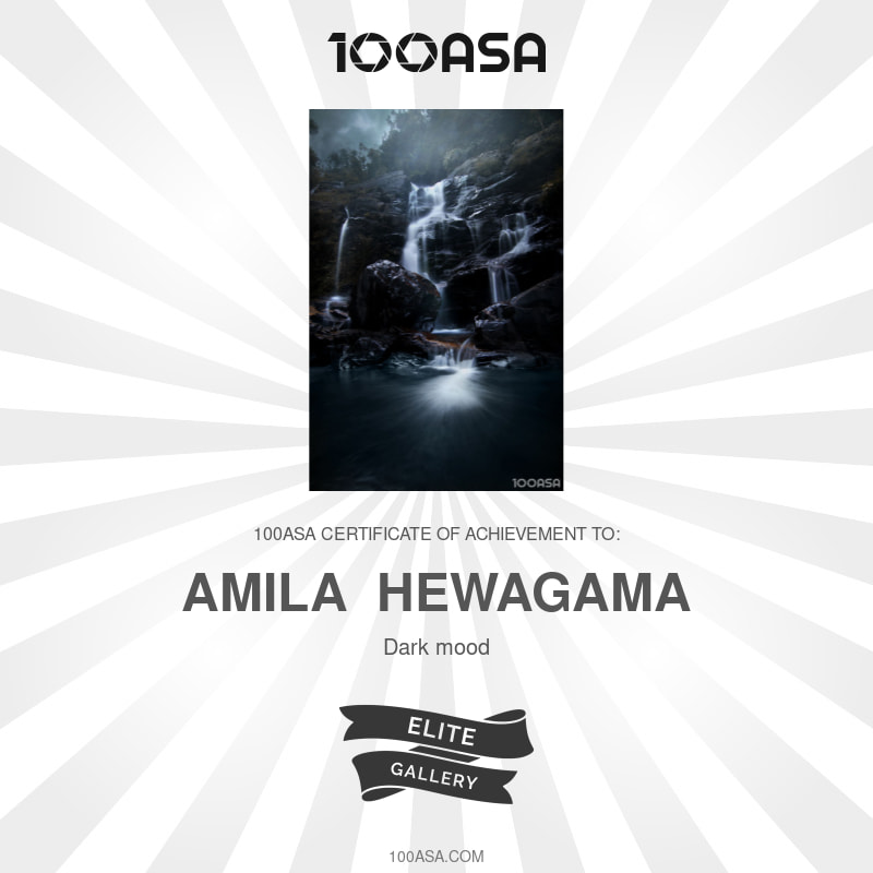 Published Elite Gallery