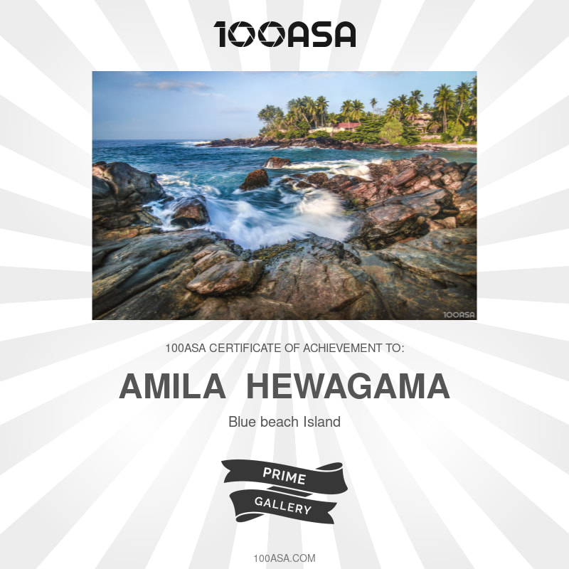 Published Prime Gallery