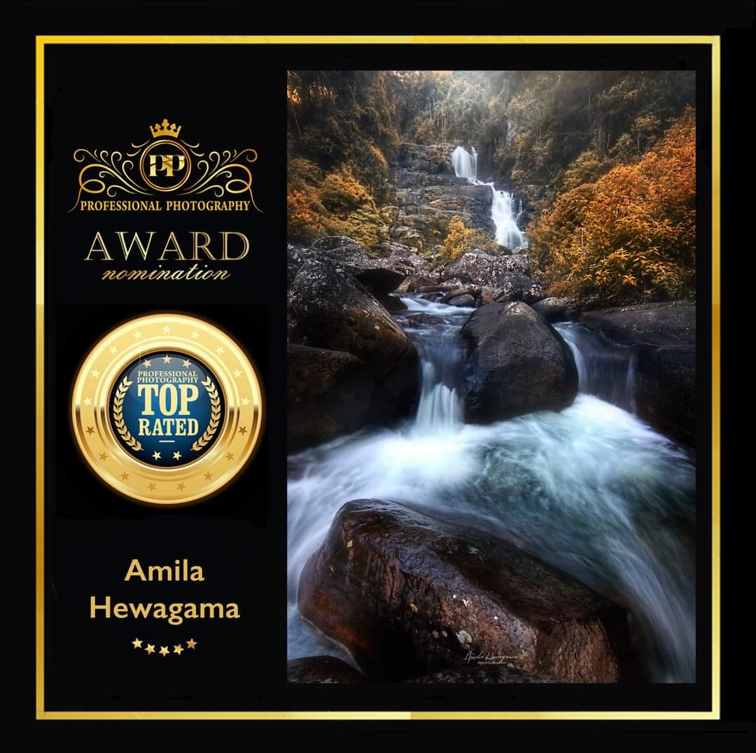 Professional Photography