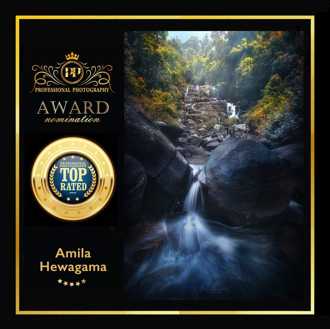 Professional Photography