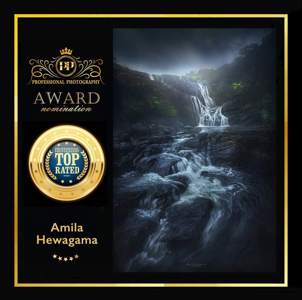 Professional Photography