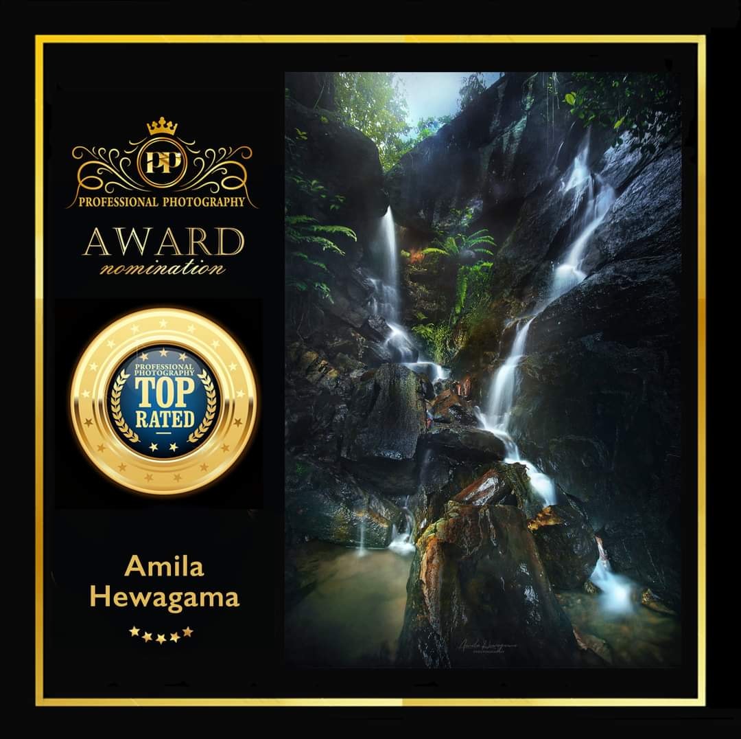 Professional Photography