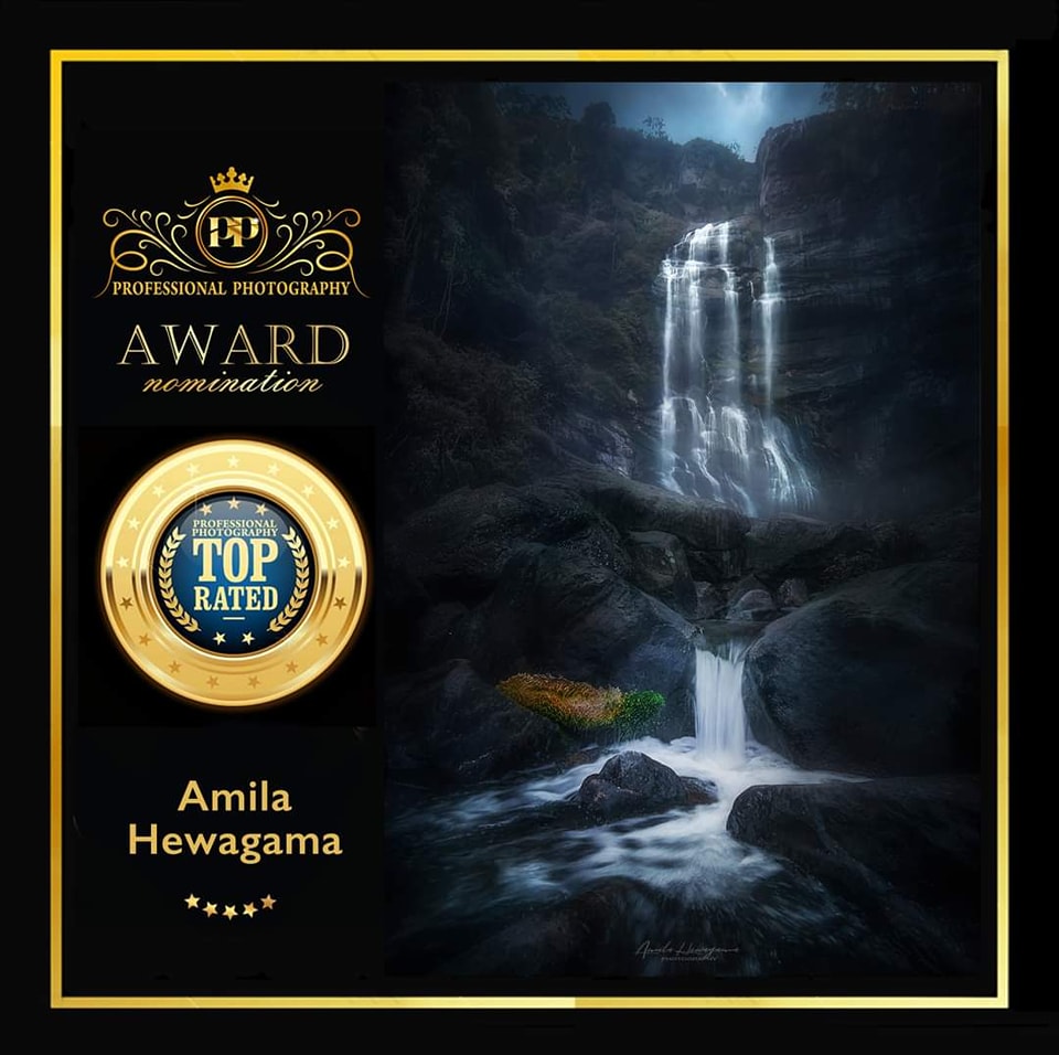 Professional Photography