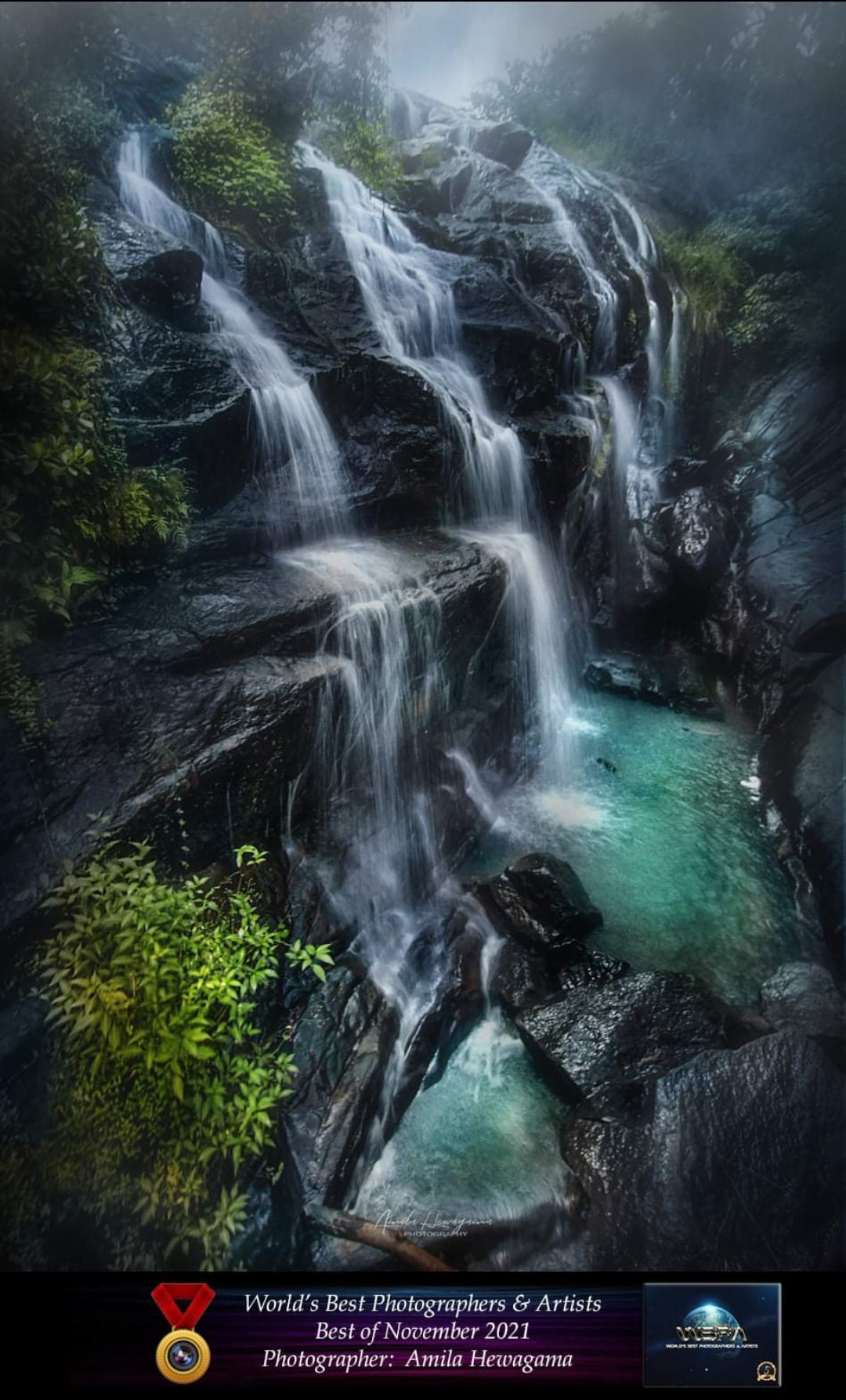 World Best Photographers & Artist