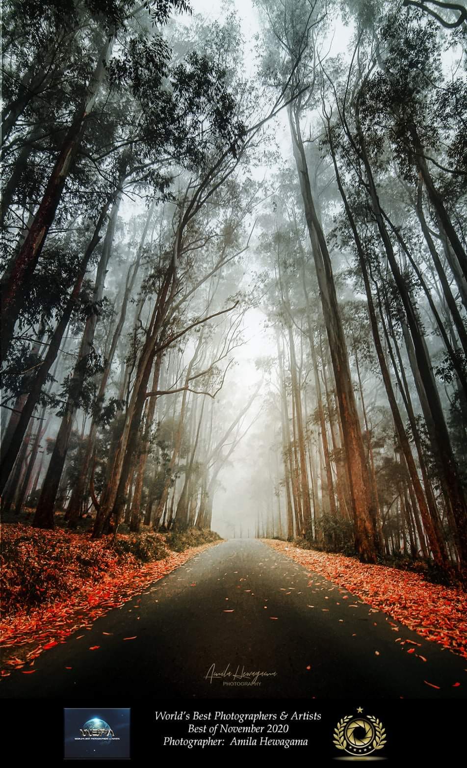 World Best Photographers & Artist