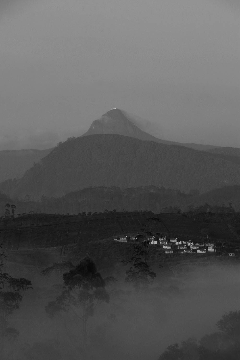 Camera: Canon EOS 80D, Focal: 122.0mm, Exposure: 0.02s