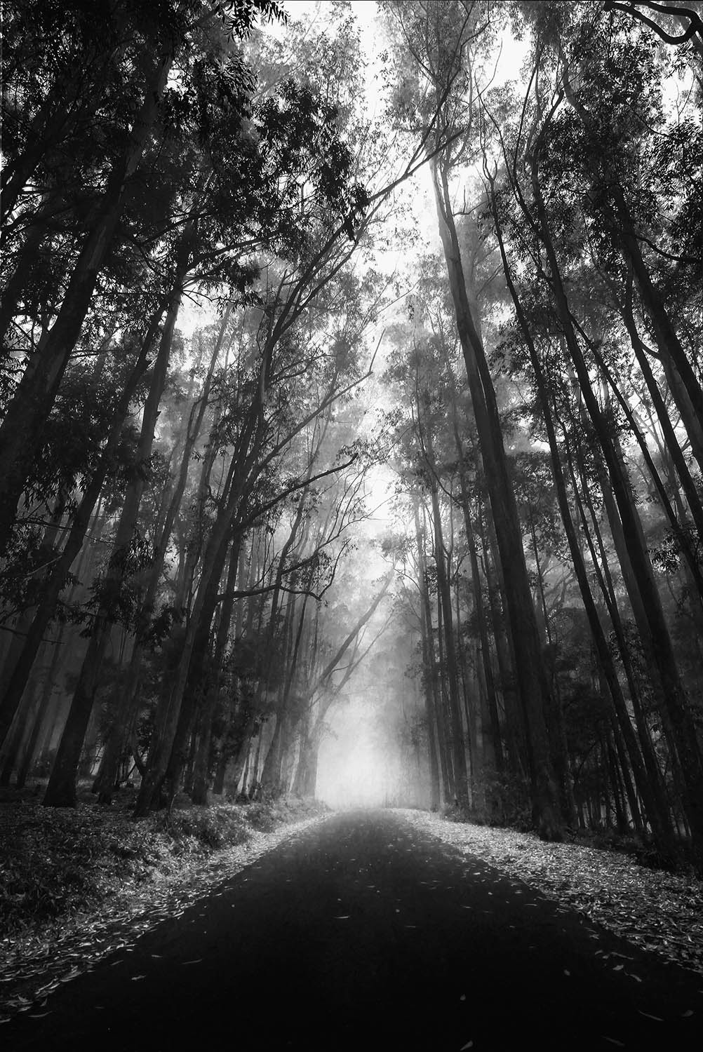 Camera: Canon EOS 7D, Focal: 11.0mm, Exposure: 0.06666666666666667s