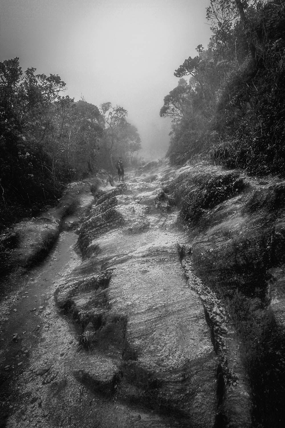 Camera: Canon EOS 7D, Focal: 11.0mm, Exposure: 0.005s