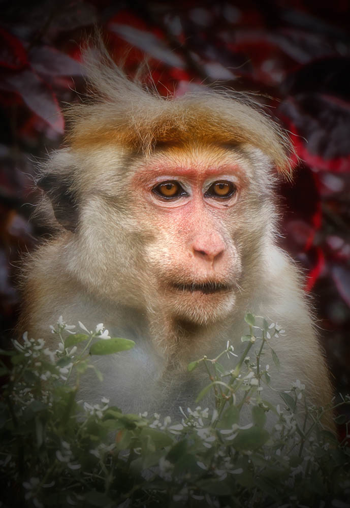 Camera: N/A, Focal: Nonemm, Exposure: Nones