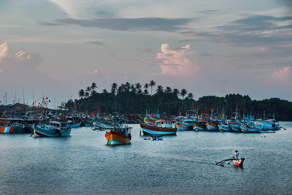 Camera: Canon EOS 80D, Focal: 62.0mm, Exposure: 0.00625s