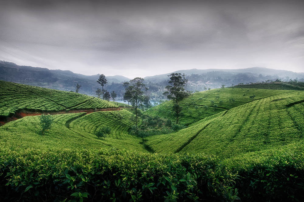 Camera: Canon EOS 80D, Focal: 11.0mm, Exposure: 0.03333333333333333s