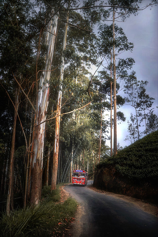 Camera: Canon EOS 80D, Focal: 18.0mm, Exposure: 0.03333333333333333s