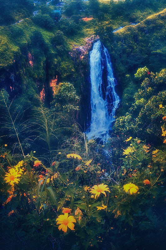 Camera: Canon EOS 7D, Focal: 44.0mm, Exposure: 0.03333333333333333s