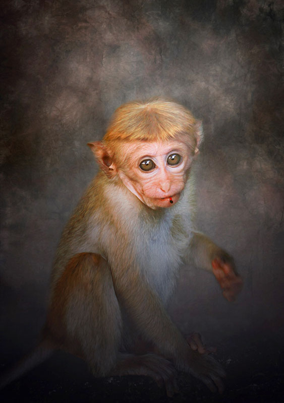 Camera: Canon EOS 7D, Focal: 84.0mm, Exposure: 0.00625s