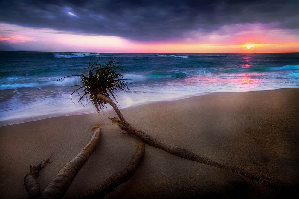 Camera: Canon EOS 7D, Focal: 11.0mm, Exposure: 0.25s