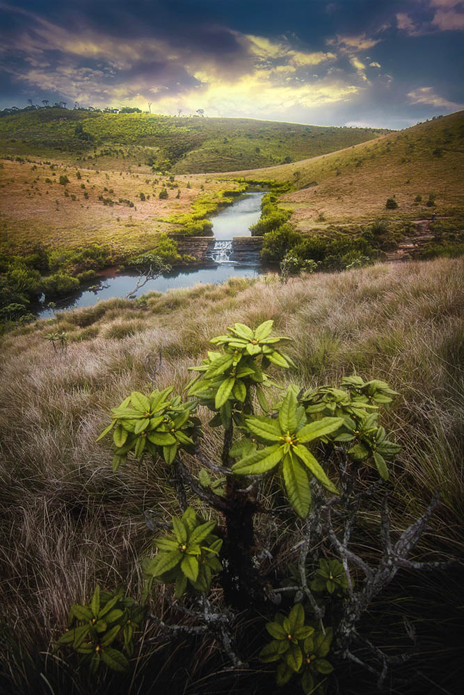 Camera: Canon EOS 7D, Focal: 11.0mm, Exposure: 0.0025s