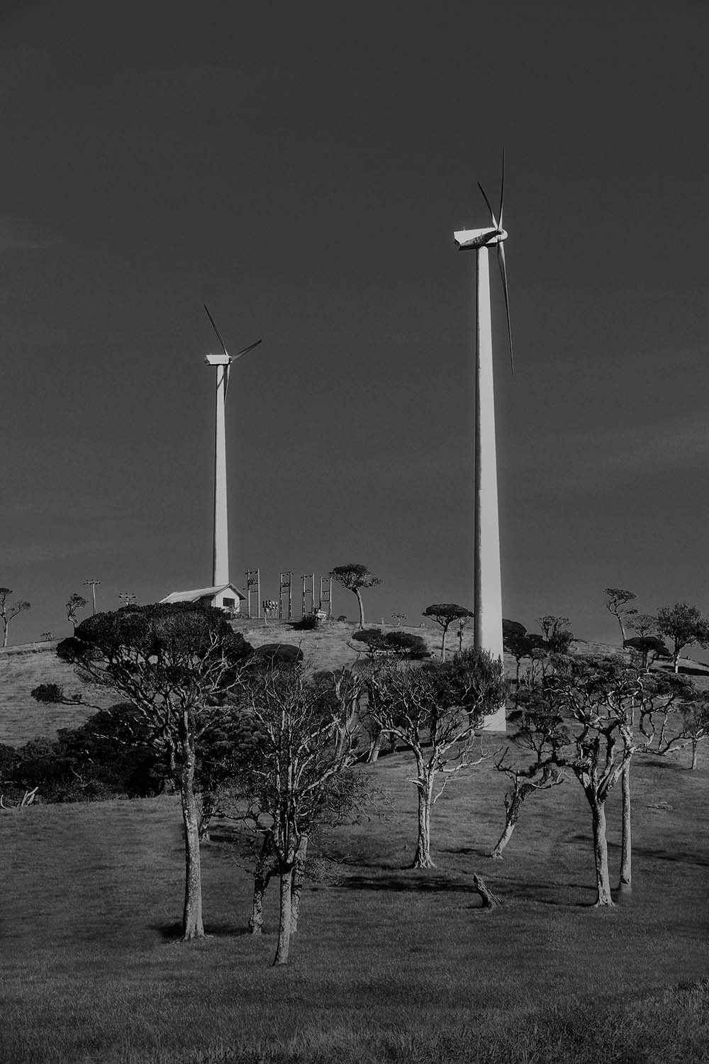 Camera: Canon EOS 80D, Focal: 62.0mm, Exposure: 0.0025s