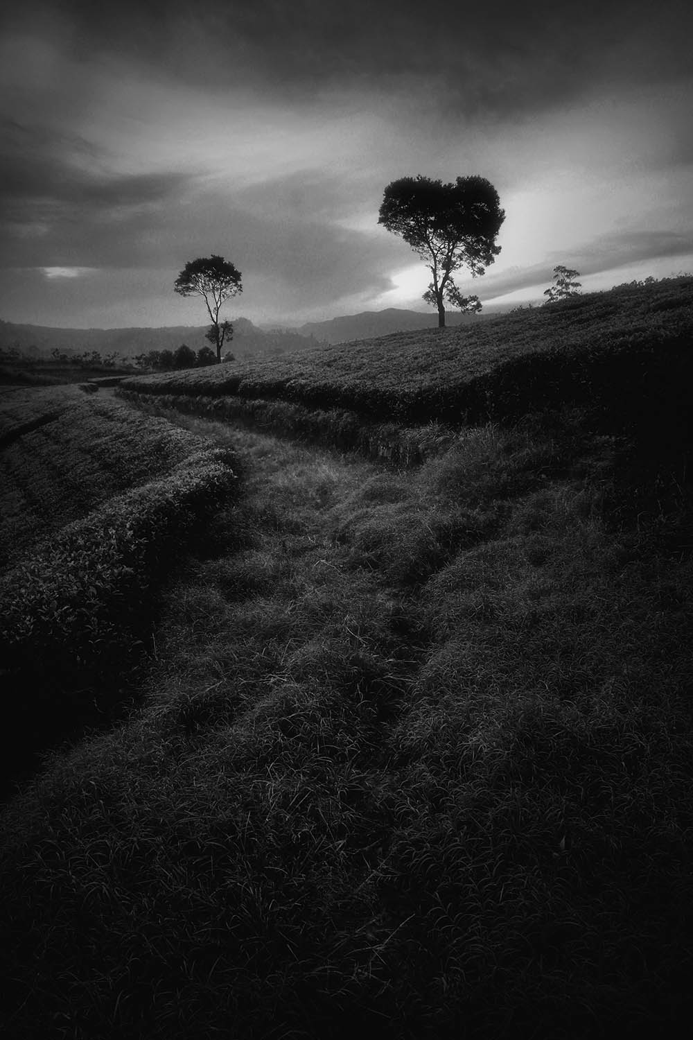 Camera: Canon EOS 80D, Focal: 13.0mm, Exposure: 0.025s