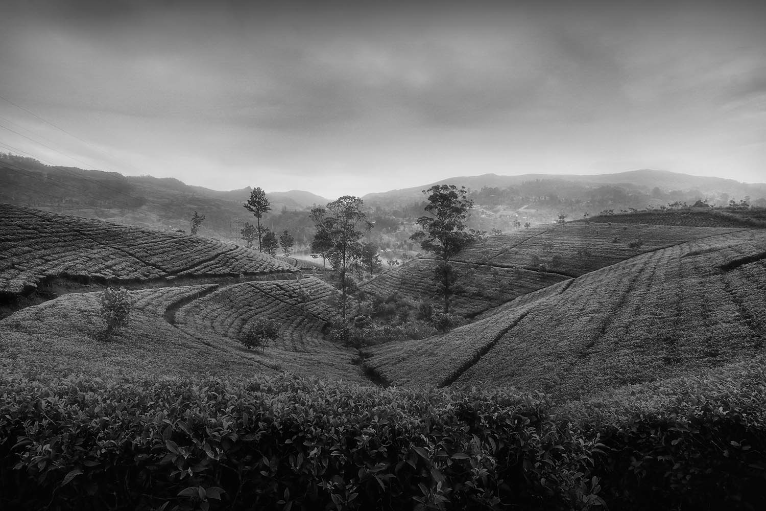 Camera: Canon EOS 80D, Focal: 11.0mm, Exposure: 0.03333333333333333s